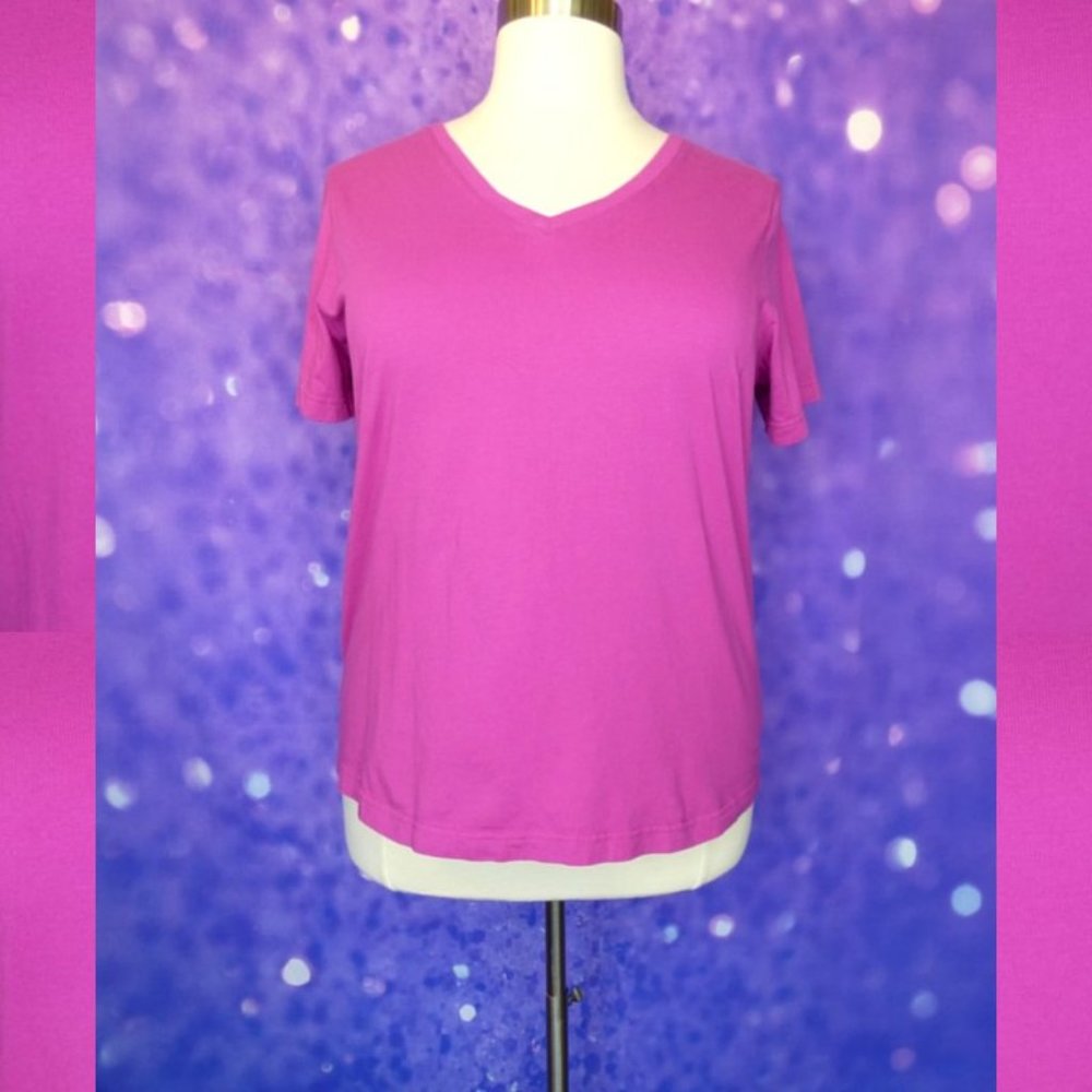 Woman Within Pink V Neck Tee 18/20 L Petite